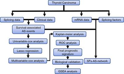 Systematic Analysis of Survival-Associated Alternative Splicing Signatures in Thyroid Carcinoma